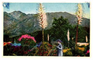 Postcard PEOPLE SCENE Phoenix Arizona AZ AQ6769