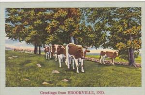 Indiana Greetings From Brookville