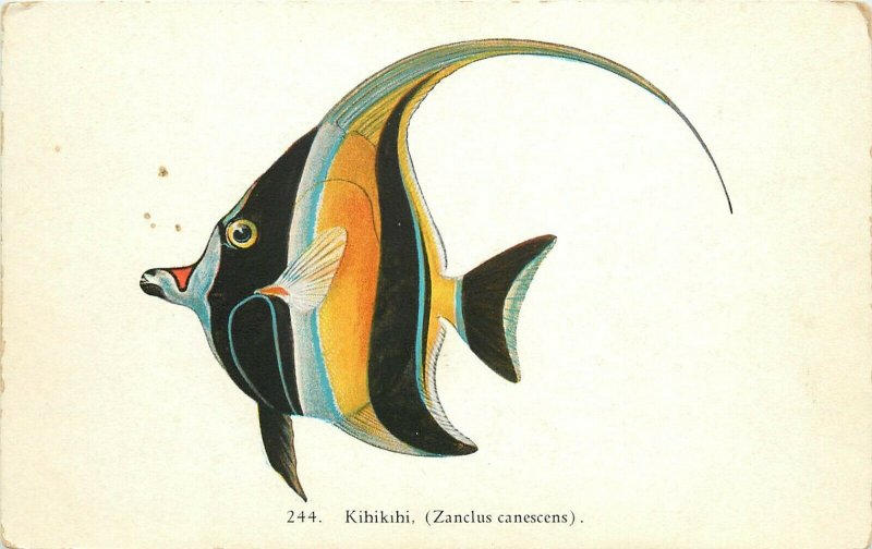 Hawaiian Fish Postcard 244 Kihikihi Moorish Idol, Simonds Aquarium Long Beach CA