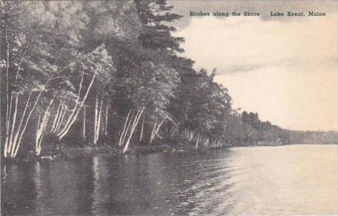 Maine Lake Kezar Birches Along The Shore Albertype