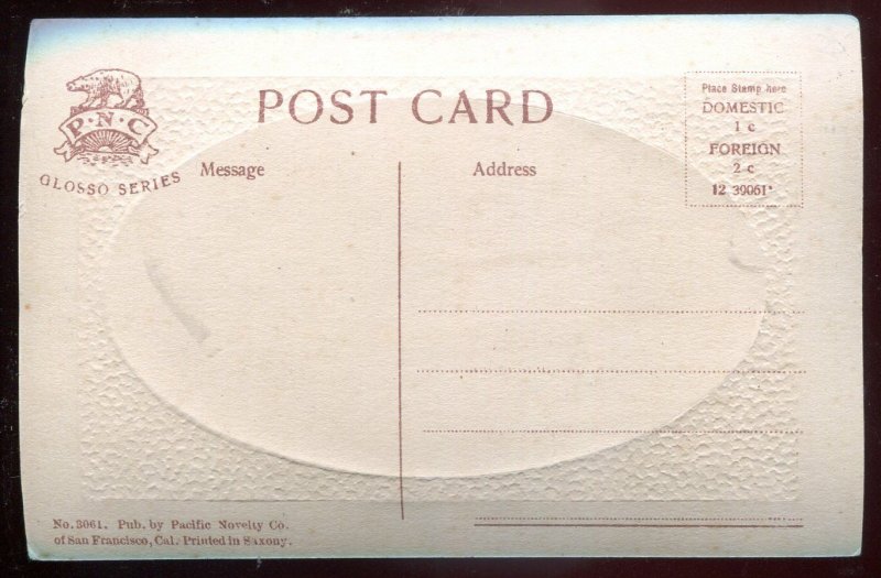h351 - CALGARY Alberta Postcard 1910s Carnegie Library