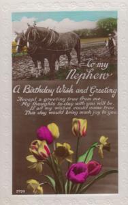 Farm Horses Farming Farmer Nephew Happy Birthday Antique Real Photo Old Postcard