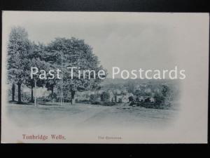 c1903 - Tunbridge Wells, THE COMMON - Undivided Back