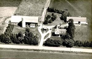 MI - Adrian. Dairy Farm, 1950's. - RPPC