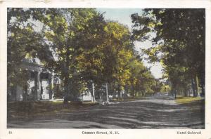 Canaan New Hampshire~Canaan Street~Homes Shaded by Trees~1948 Hand-Colored Pc