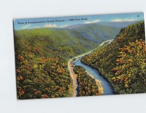 Postcard View of Pennsylvanias Grand Canyon Pennsylvania USA