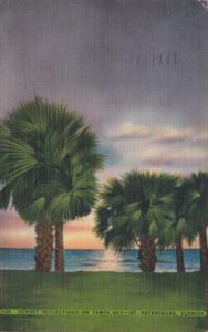 Florida St Petersburg Sunset Reflections On Tampa Bay 1950