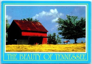 Postcard - The Beauty Of Tennessee