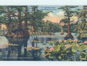 Linen LAKE SCENE Memphis Tennessee TN F4029