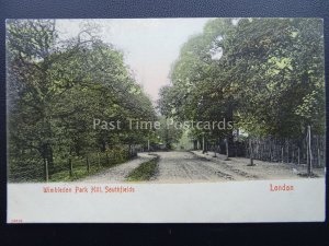 London WIMBLEDON PARK HILL Southfields c1905 Postcard by Stengel & Co