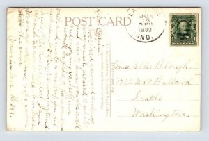 LaGrange Indiana West Side Detroit Street Postcard 1909