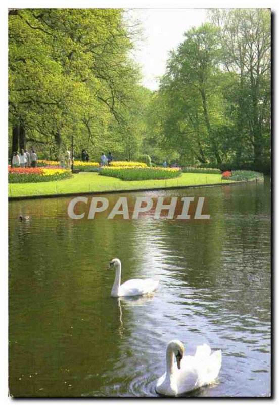 Modern Postcard Keukenhof Lisse Holland