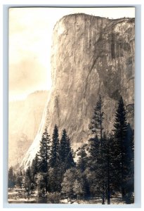 C.1910 Yosemite Valley California National Park Real Photo RPPC Postcard P165