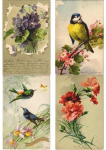 100x KLEIN C. ARTIST SIGNED, FLOWERS, FRUIT PRE-1940 Vintage Postcards (L3171)