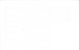 Lot 33 usa real photo arizona eureka springs the log tavern restaurant cafe gift