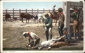 Cowboys Cattle Branding Farming Animal Abuse Detroit Pub c1910 Postcard