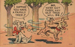 dog postcard: I Suppose You Have a Family Tree