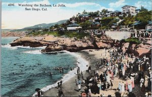 Watching The Bathers La Jolla San Diego California Vintage Postcard C139