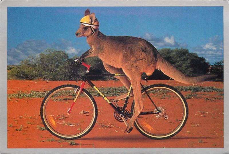 Kangaroo bicycle riding Australia butterfly stamp airmail postcard