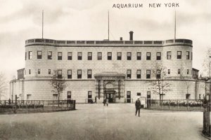 Aquarium New York