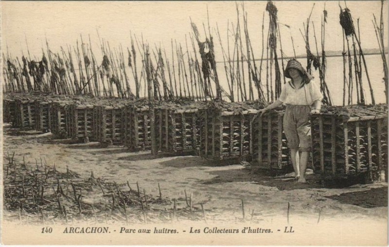 CPA ARCACHON-Parc aux huitres-Les Collecteurs d'huitres (27727)