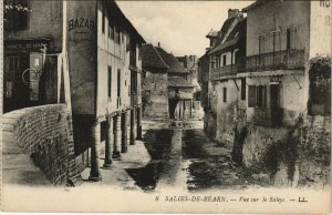 CPA SALIES-de-BEARN Vue sur le Saleys (1143068)