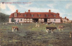 White Springs Dairy Farm Cows Geneva New York 1910 postcard