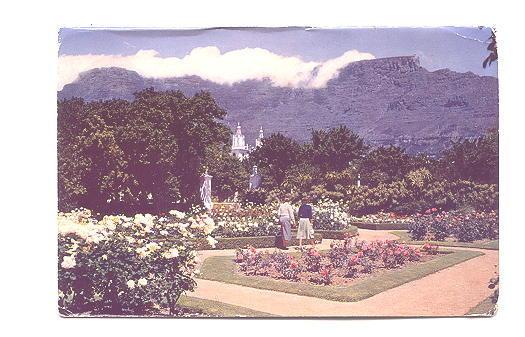 Botanical Gadens, Cape Town, Table Mountain, South Africa