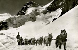 Switzerland - Jungfraujoch. Sled Dog Team.  *RPPC