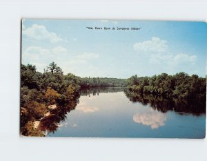Postcard Way Down Upon de Suwannee Rivbber Suwannee River Florida USA