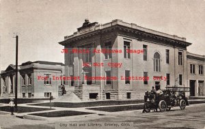 CO, Greeley, Colorado, City Hall & Library Buildings, 1915 PM. Capper Pub No 704