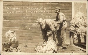 Lightning Sheep Shearers Shearing Tools Chatfield MN Real Photo Postcard