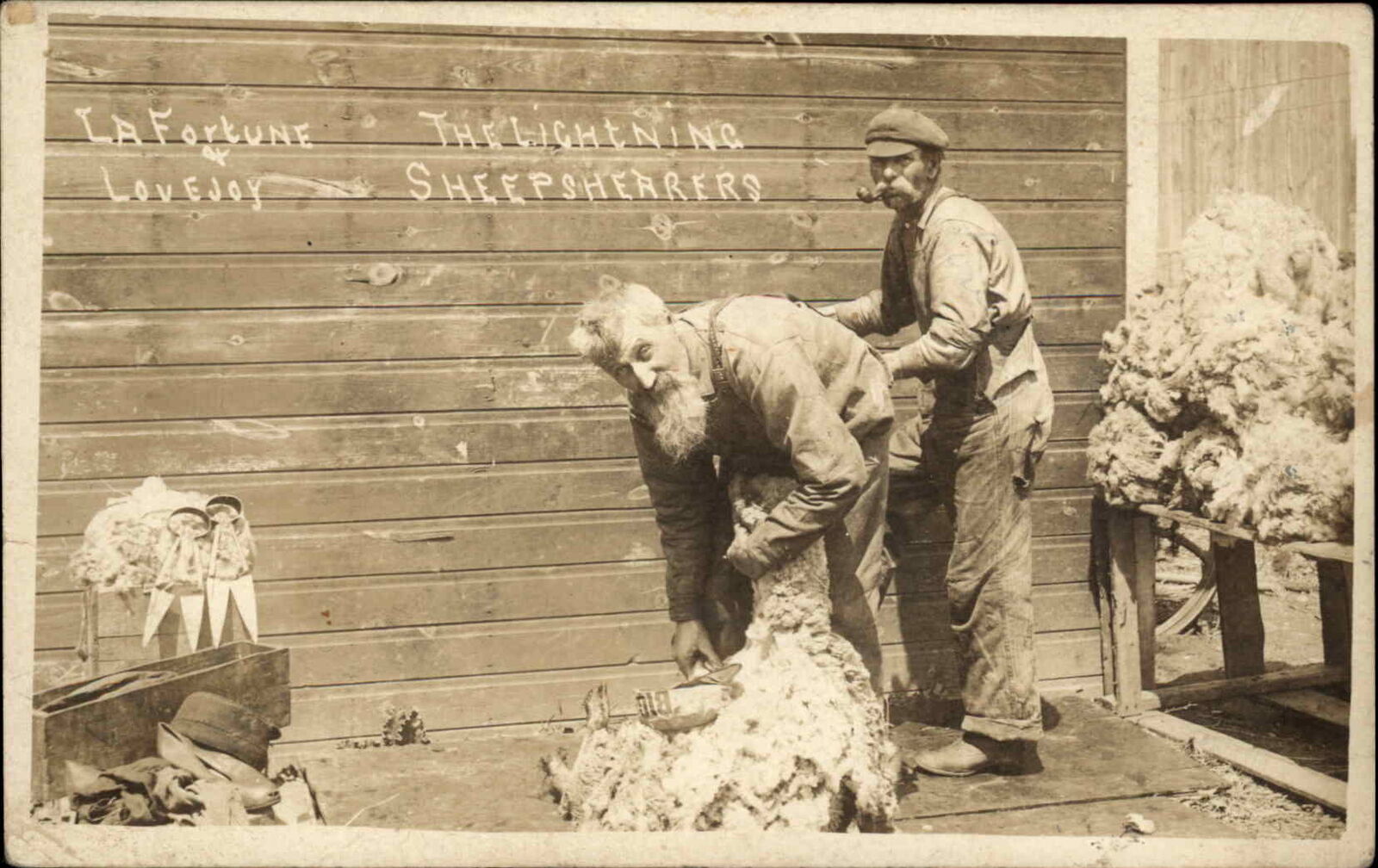Lightning Sheep Shearers Shearing Tools Chatfield MN Real Photo