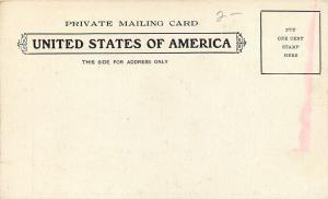 Raymonds Kill Pennsylvania~High Falls~Waterfall~1901 Private Mailing Card