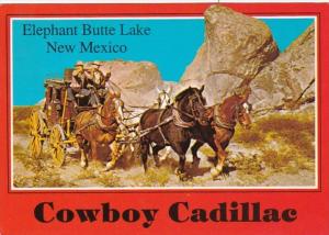 New Mexico Elephant Butte Lake Stagecoach Cowboy Cadillac