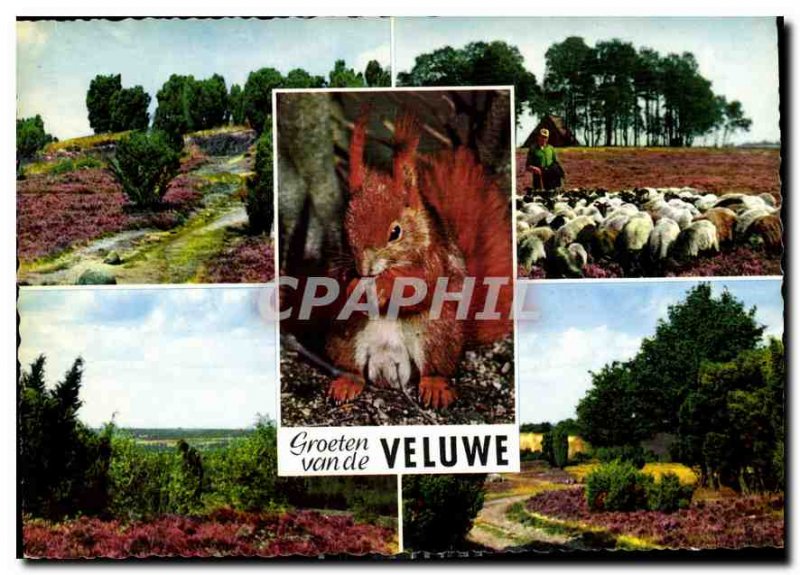 Modern Postcards Groeten van Vuluwe