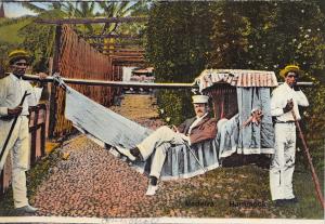 MADEIRA PORTUGAL MAN RELAXES IN HAMMOCK CARRIED LOCAL MEN PHOTO POSTCARD 1900s