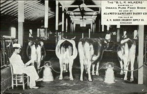 Chicago IL BLK Cow Milkers Milking Machine Alamito Sanitary Dairy Co Postcard