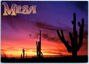 Postcard - Dark shape of the stately saguaro cactus - Mesa, Arizona