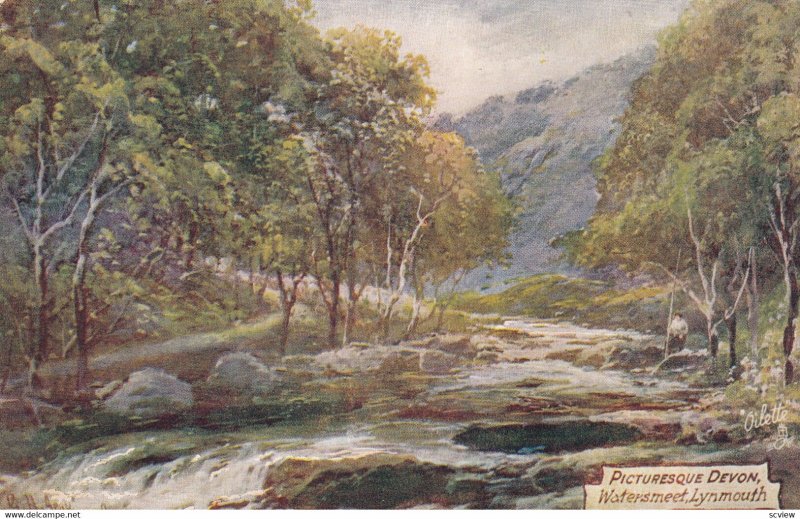 Picturesque Devon, Watersmeet, Lynmouth, 1900-1910s; TUCK 7777