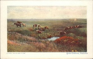 Nantucket Massachusetts MA Quaise Commons Cows Cattle c1910 Postcard