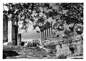 BR49603 The steps of bacchus temple leabanon Baalbek        Lebanon