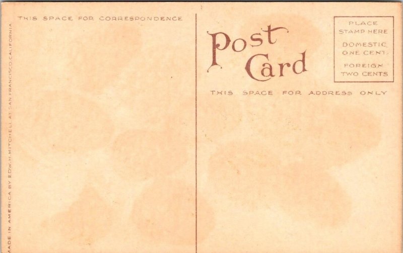 2~ca1910's Mitchell Fruit Postcards LOGANBERRIES & BLACK TARTARIAN CHERRIES