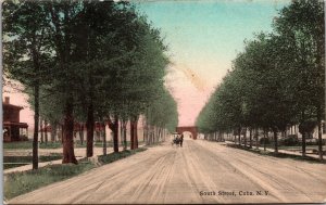 Hand Colored Postcard South Street in Cuba, New York~136336