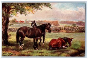 c1910 Three Horses on a Sunday Rest Dorset Farms Oilette Tuck Art Postcard