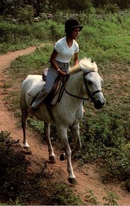 Horseback Riding Cantering On A White Mare
