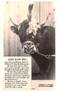 Andy D Day Bull Four horns, four eyes, & a Double Nose Cow Oddity Unused 