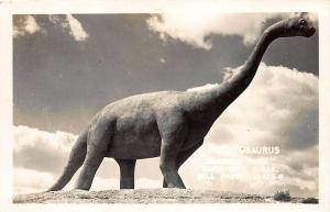 Rapid City SD Dinosaur Park Brontosaurus Signed Bell Real Photo Postcard