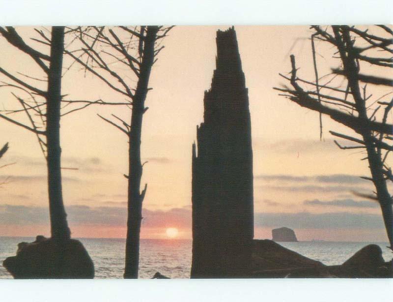 Unused Pre-1980 SUNSET SILHOUETTE AT BEACH Rialto Beach Washington WA d6732