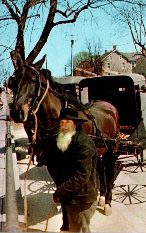 Ohio Amish Country Amish Man With Horse and Wagon In Front Of General Store